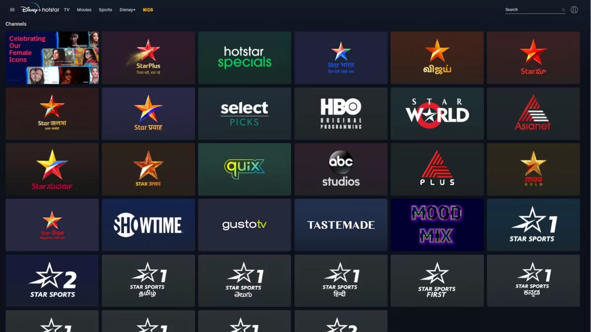Disney+ Hotstar Minus HBO Movies and Shows: Is It Still Worth Subscribing? Here Are Some Recommendations